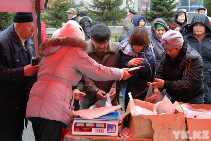 Эх, хвост, чешуя (+фото)